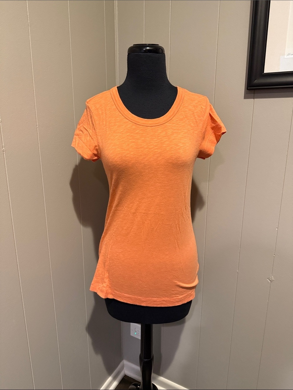 GAP Women’s Small Casual Short-Sleeve Crewneck Tee